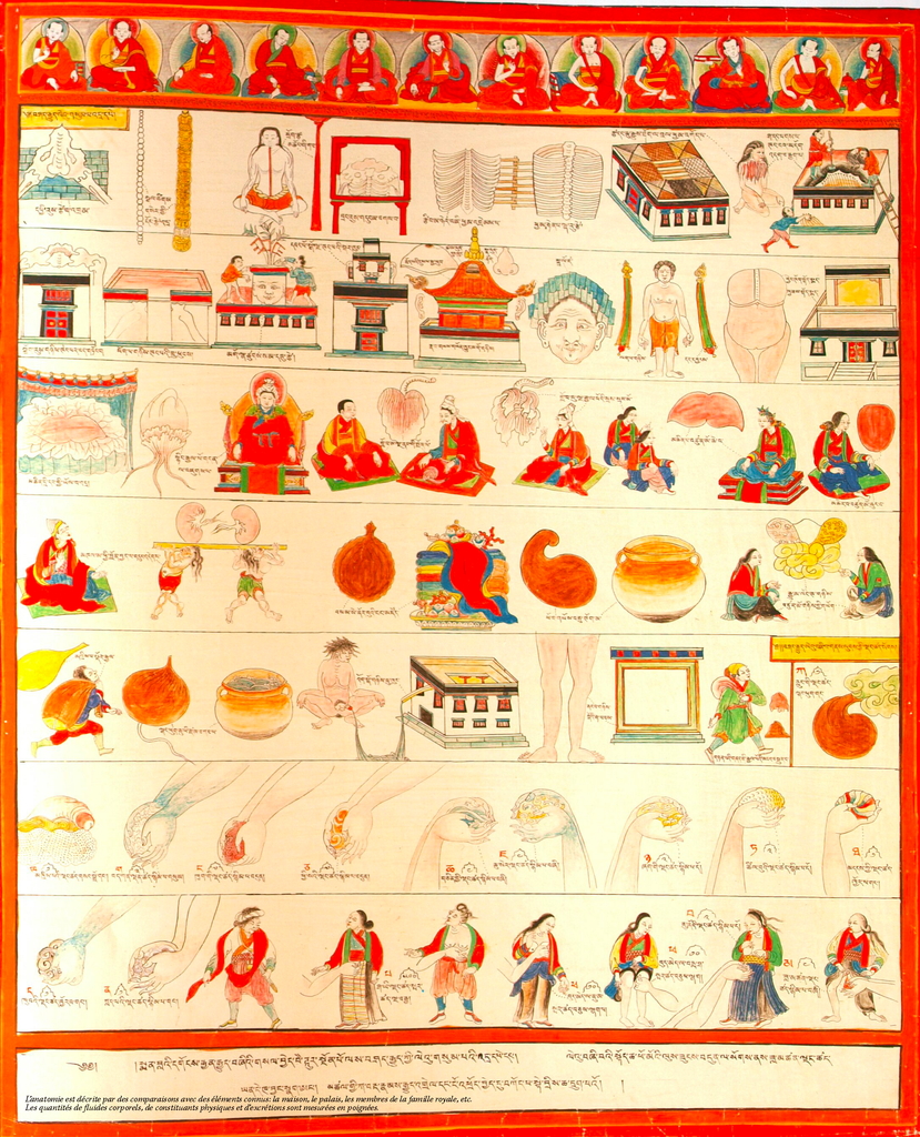 Planche du Beryl Bleu illustrant le fonctionnement du corps humain de manière symbolique, en le comparant à une maison et ses habitants.