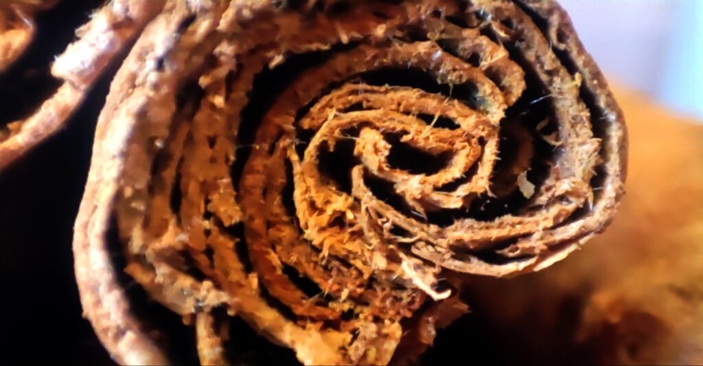 Cannelle de Ceylan, Sri Lanka