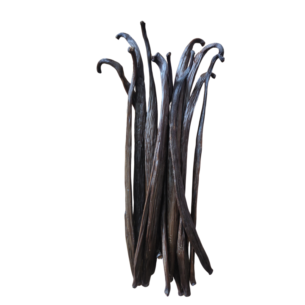 Bouquet de gousses de vanille de Ceylan catégorie A premium (Sri Lanka)