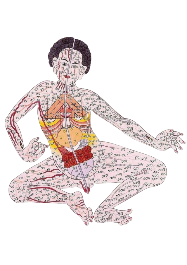 Les points critiques du corps sont des points fixes établis par la médecine tibétaine.