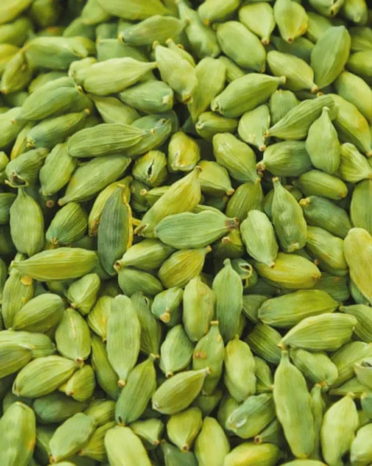 Gousses de cardamome verte Sri Lanka