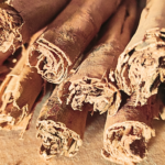 Bâtons de cannelle de Ceylan véritable et authentique 25 g